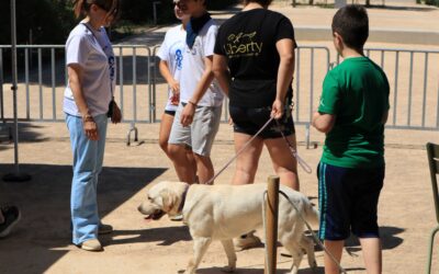 Γνωριμία με σκύλους βοηθούς στο πλαίσιο του 𝗔𝗞𝗗 𝗦𝘂𝗺𝗺𝗲𝗿 𝗗𝗮𝘆 𝗖𝗮𝗺𝗽 στο Πάρκο Σταύρος Νιάρχος